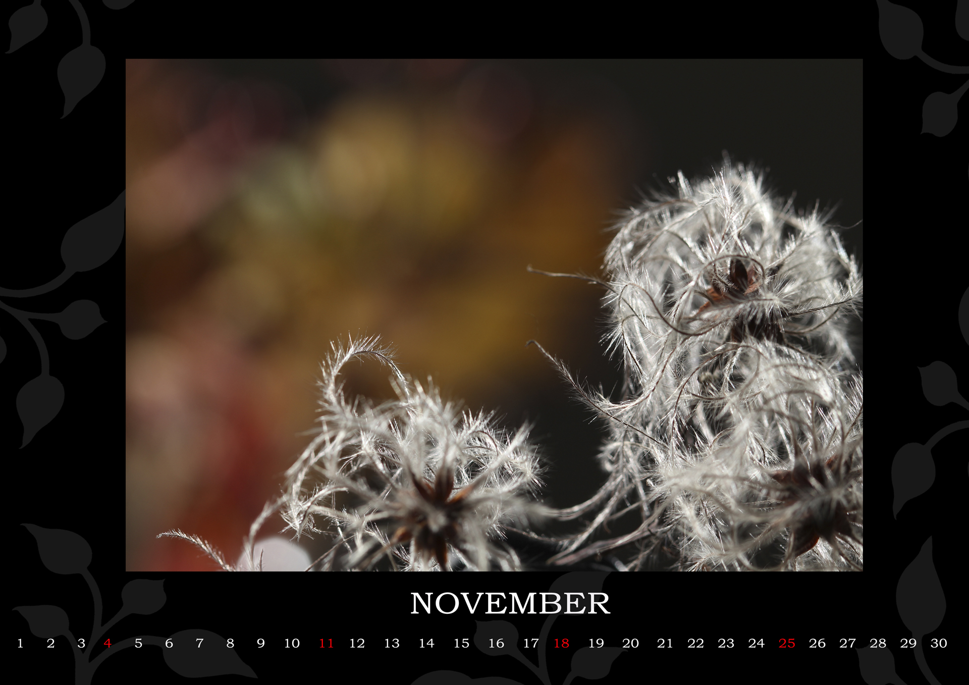 11.NOVEMBER mensie