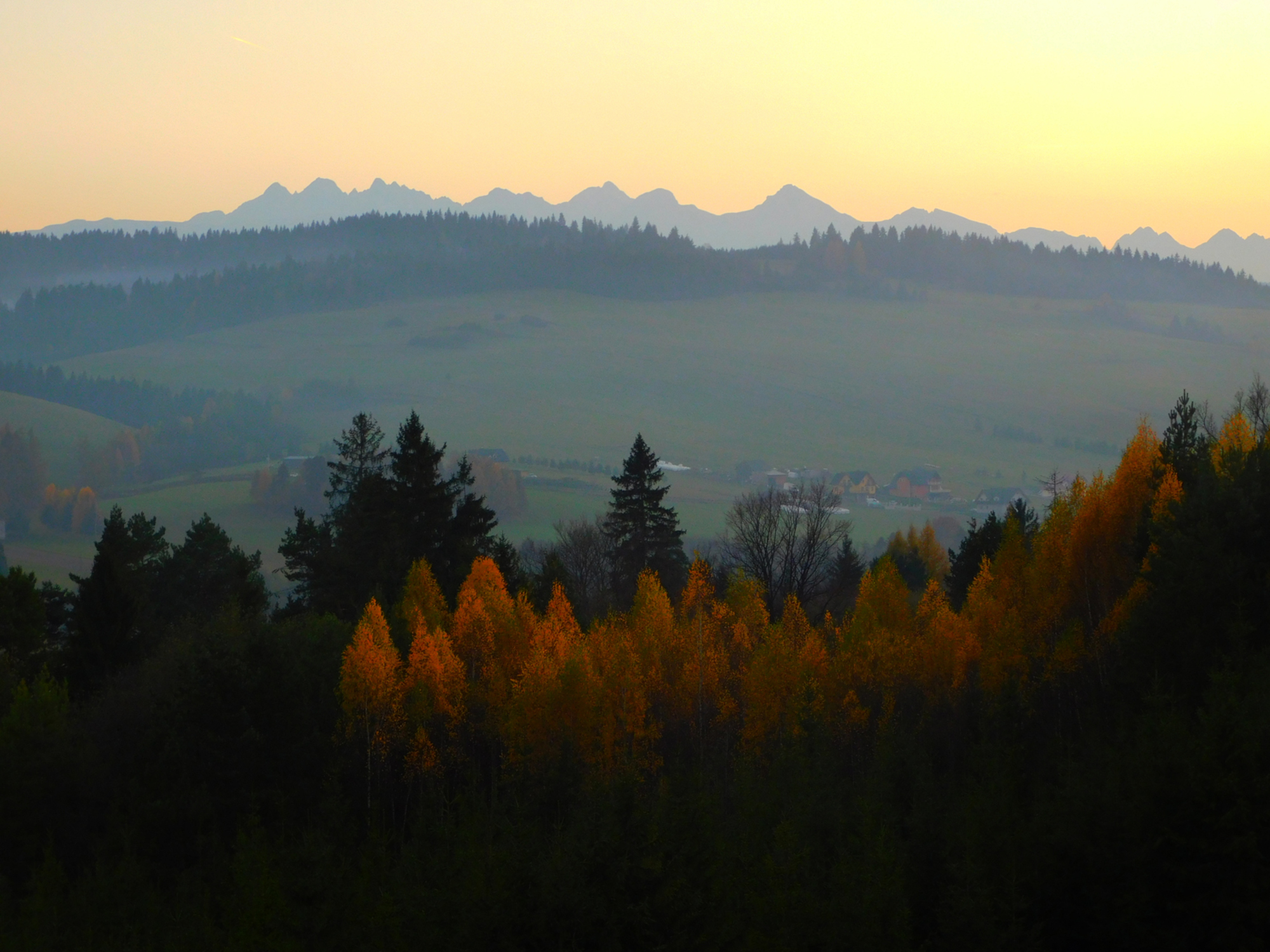 Niedzica